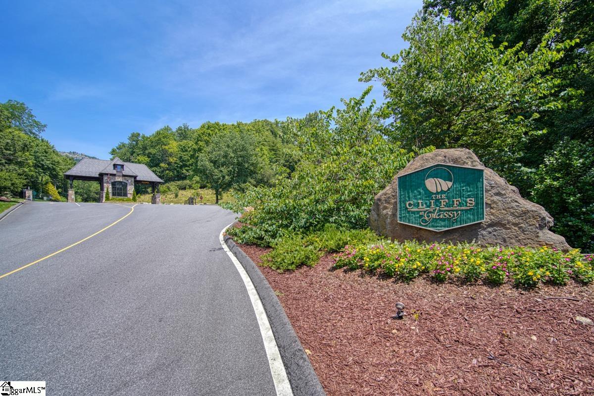 0 Raven Road Landrum, SC 29356 - Photo 2 of 13