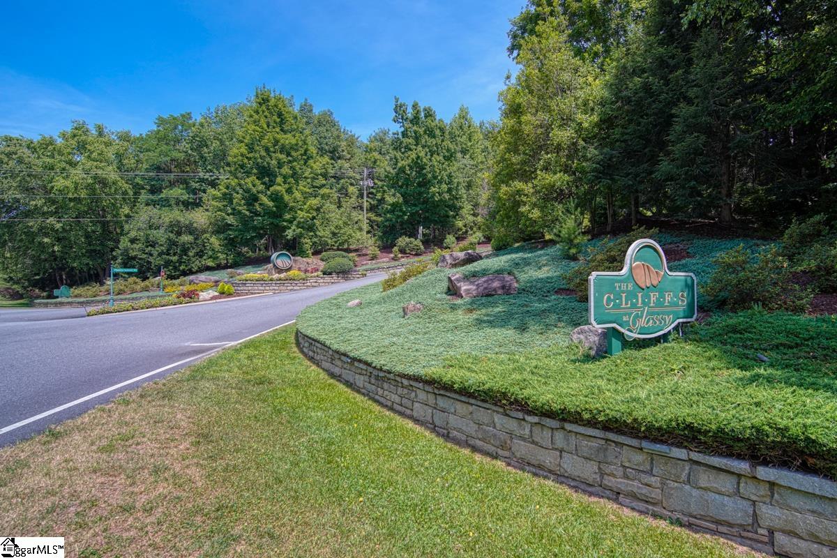 0 Raven Road Landrum, SC 29356 - Photo 5 of 13