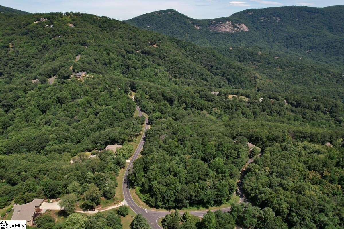 0 Raven Road Landrum, SC 29356 - Photo 7 of 13