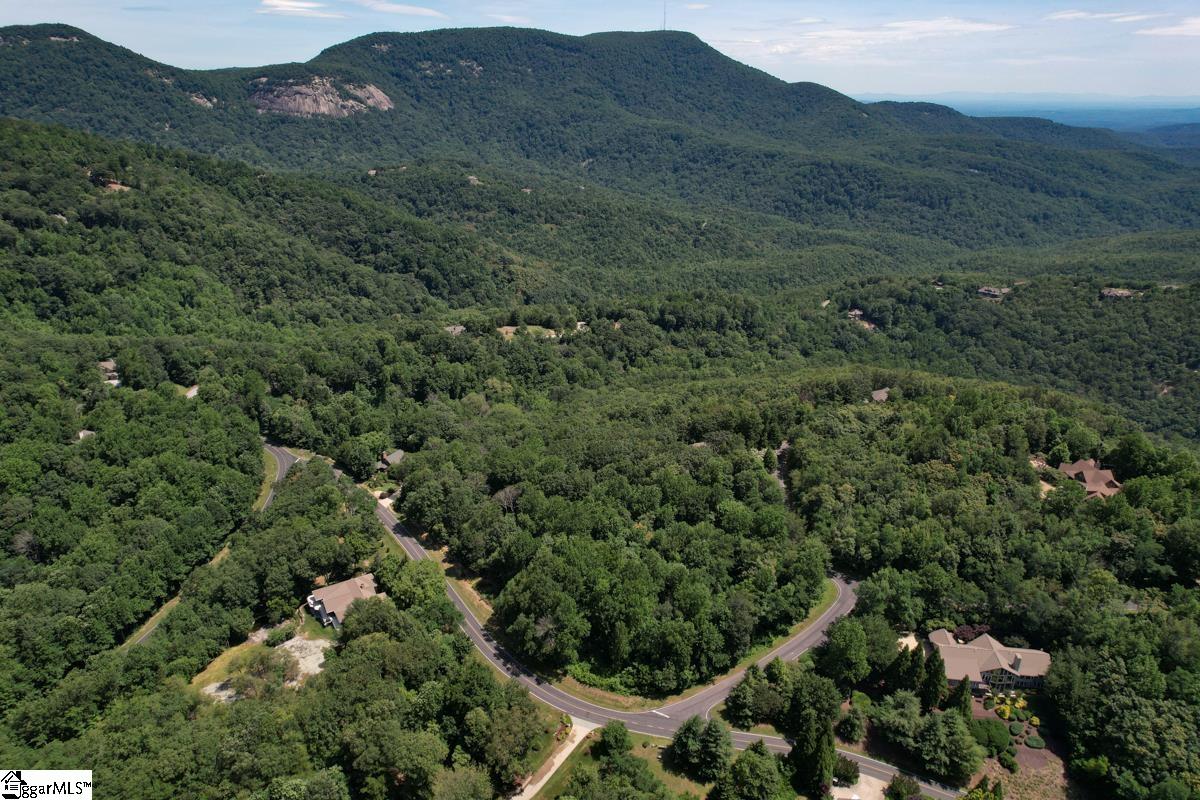 0 Raven Road Landrum, SC 29356 - Photo 9 of 13