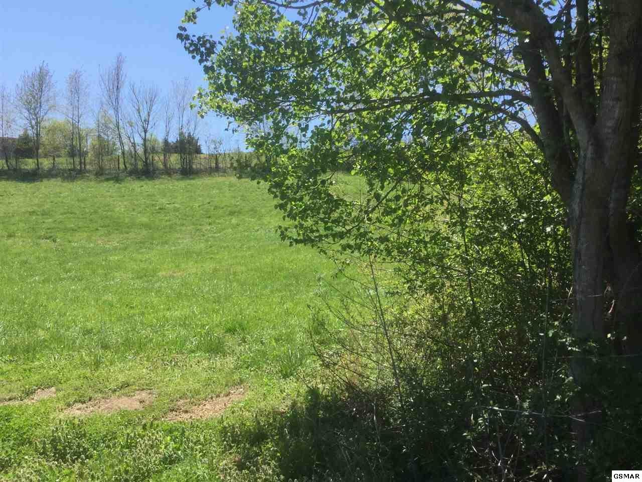22 Hatcher Mountain Road Sevierville, TN 37862 - Photo 10 of 20 Gallery Image 10
