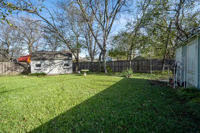 a view of a park with a large tree