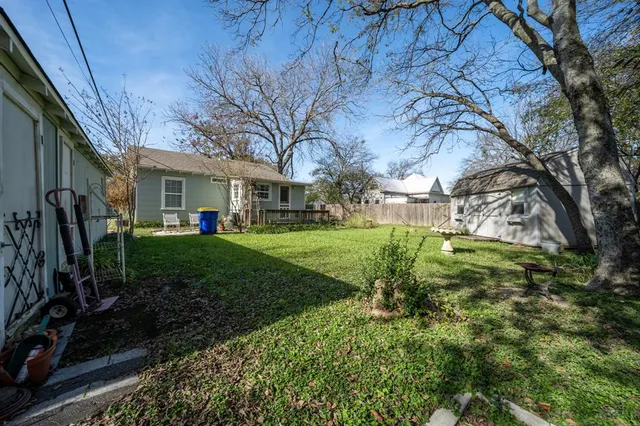 a view of a yard with plants and large trees