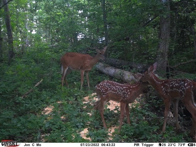Featherstone Road Stewart, OH 45778 - Photo 28 of 35