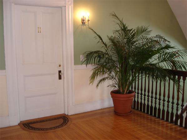 49 Appleton Street, Unit 11 Arlington, MA 02476 - Photo 4 of 18 Gallery Image 4