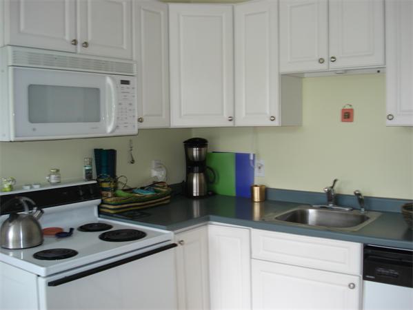 49 Appleton Street, Unit 11 Arlington, MA 02476 - Photo 10 of 18 Gallery Image 10