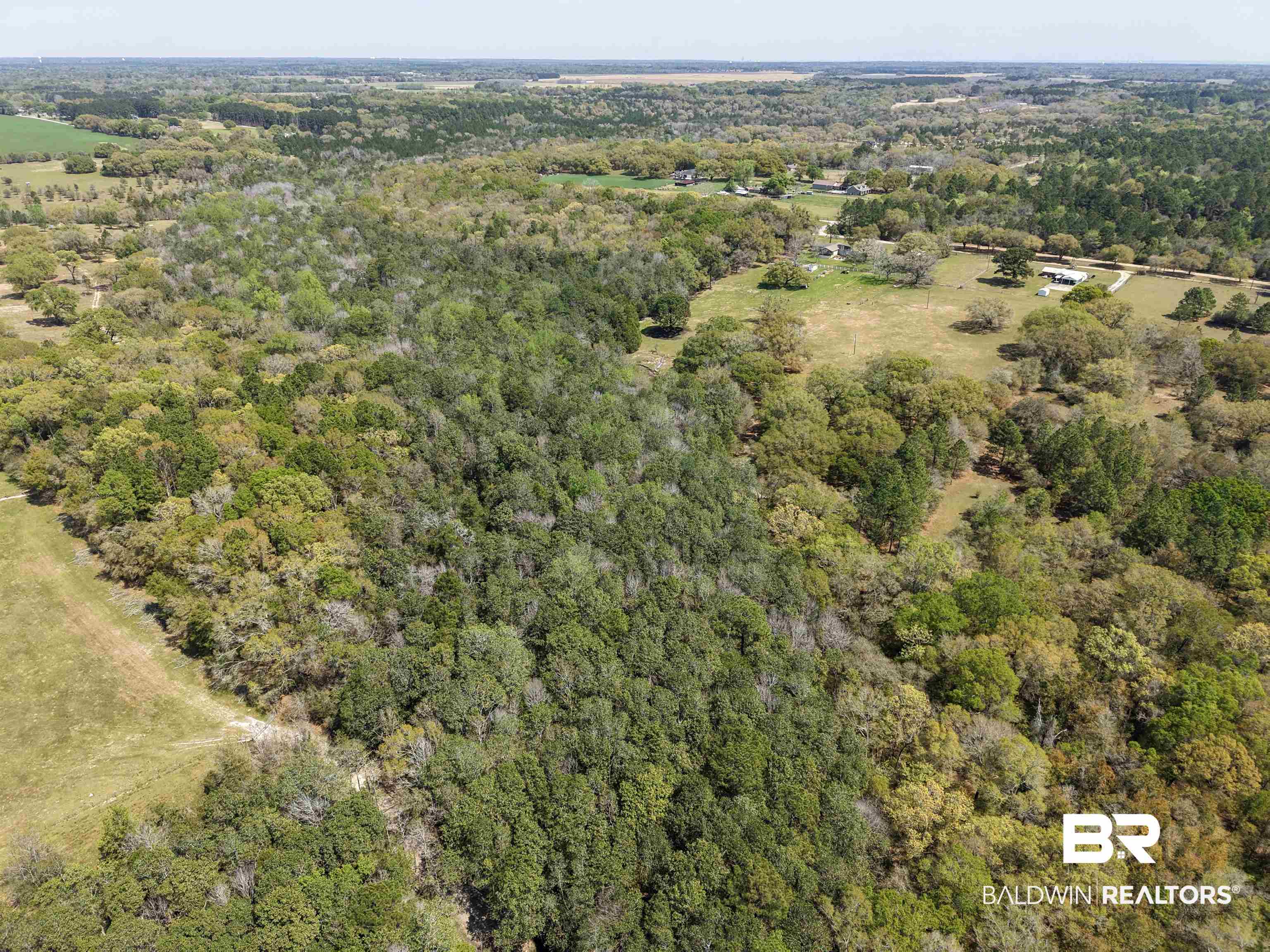 11100 Rhett McConnell Road Theodore, AL 36582 - Photo 42 of 47 Aerial view of a heavily wooded area