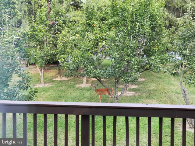 $750,000 | 378 Panhandle Road, Bentonville, VA 22610