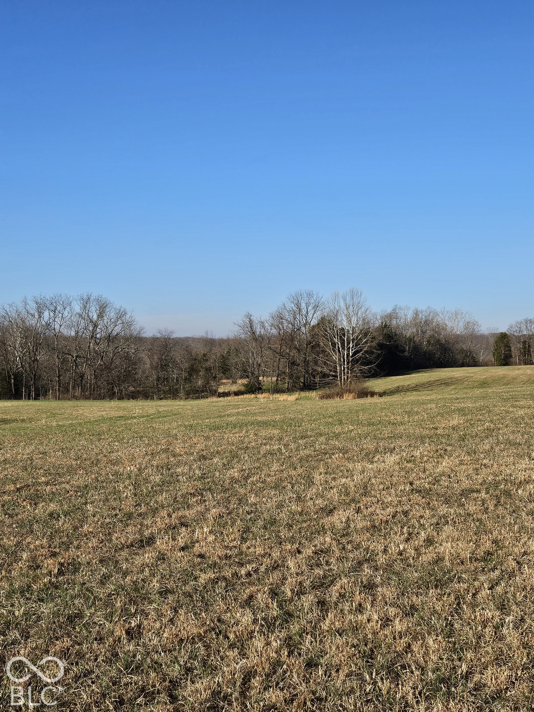 8798 South Strain Ridge Road Bloomington, IN 47401 - Photo 10 of 10 Gallery Image 10