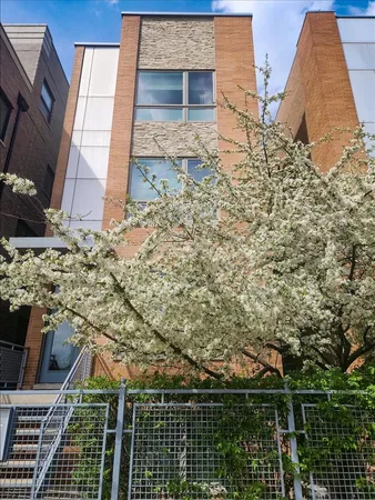 $975,000 | 1350 West Diversey Parkway, Unit 3, Chicago, IL 60614