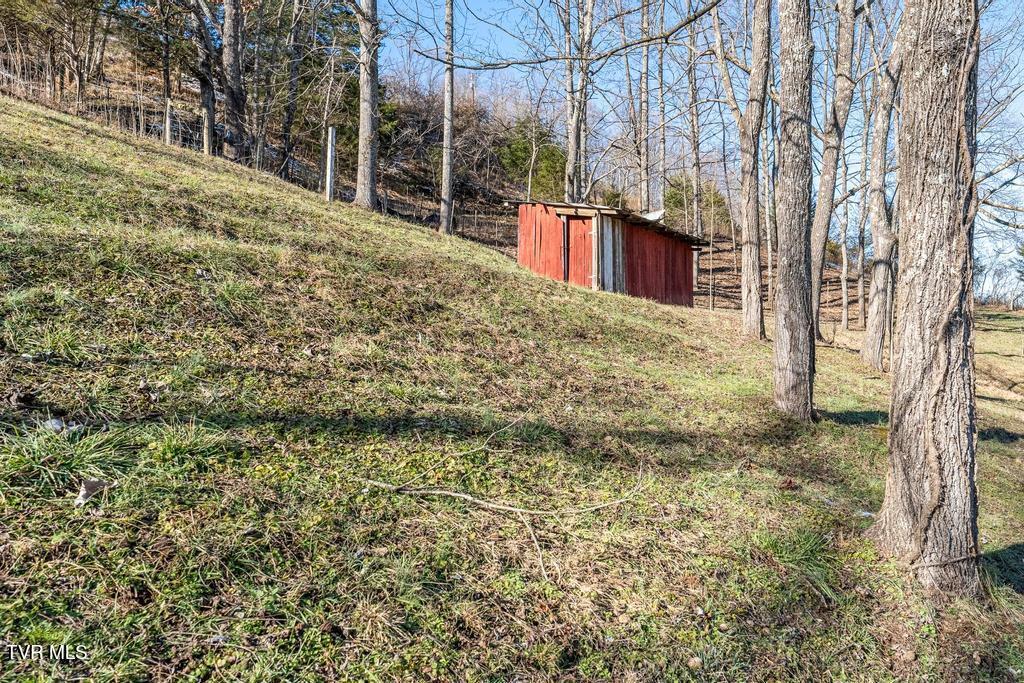 438 Toll Branch Road Johnson City, TN 37601 - Photo 80 of 114 438 Toll Branch Rd (70 of 114)