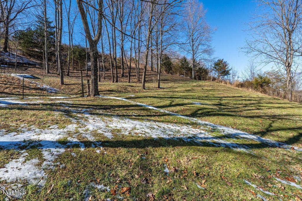 438 Toll Branch Road Johnson City, TN 37601 - Photo 82 of 114 438 Toll Branch Rd (72 of 114)