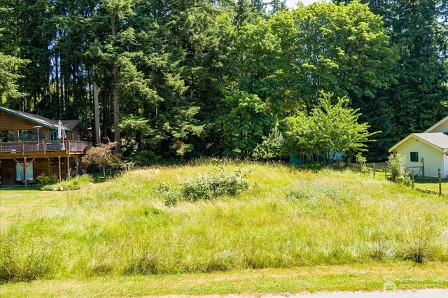 a view of swimming pool with lawn chairs and plants