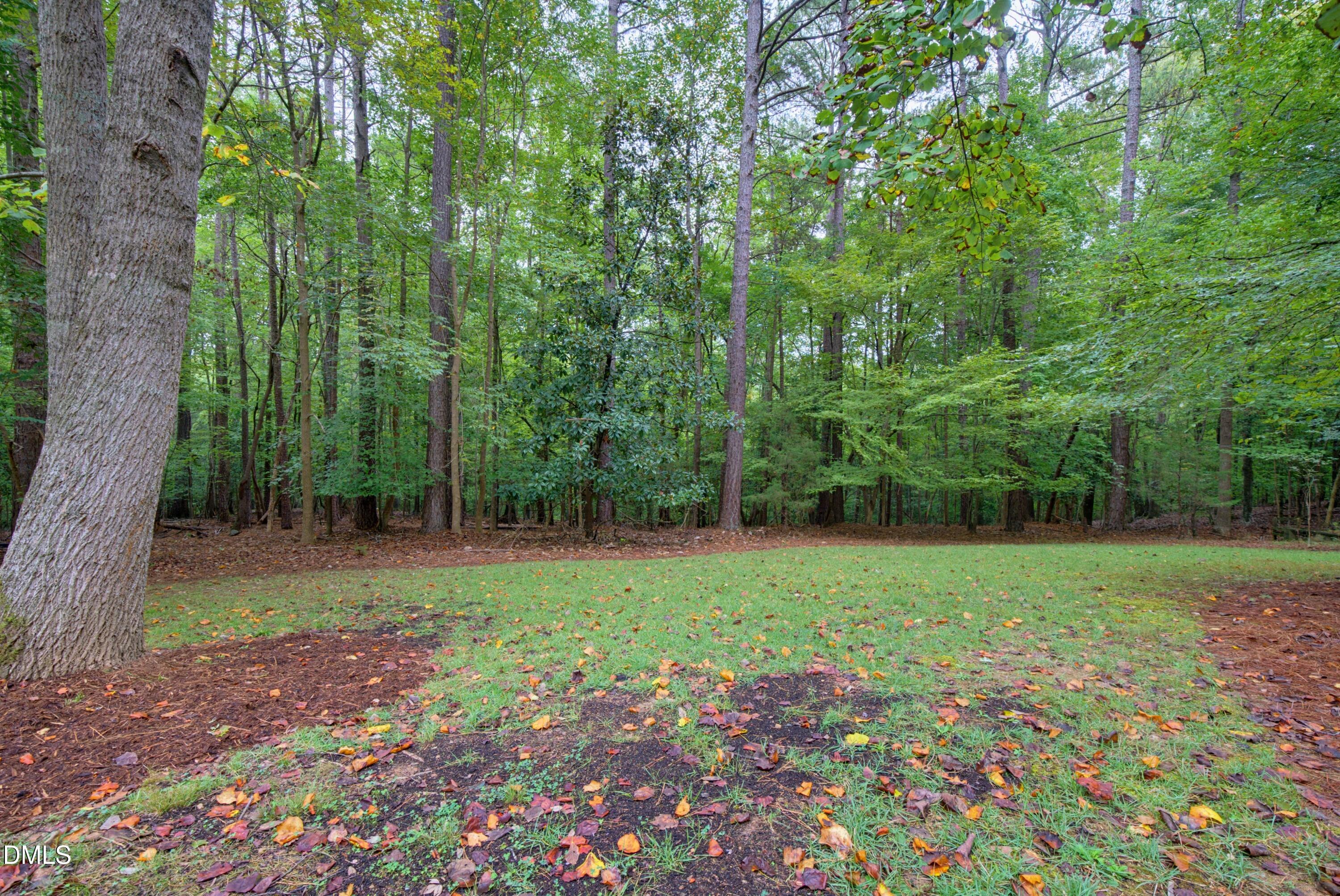 1105 Erins Way Lane Raleigh, NC 27614 - Photo 61 of 82 Yard with new seed