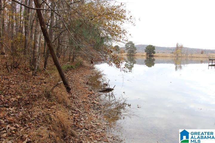 77 Rd Ohatchee, AL 36271 - Photo 4 of 24