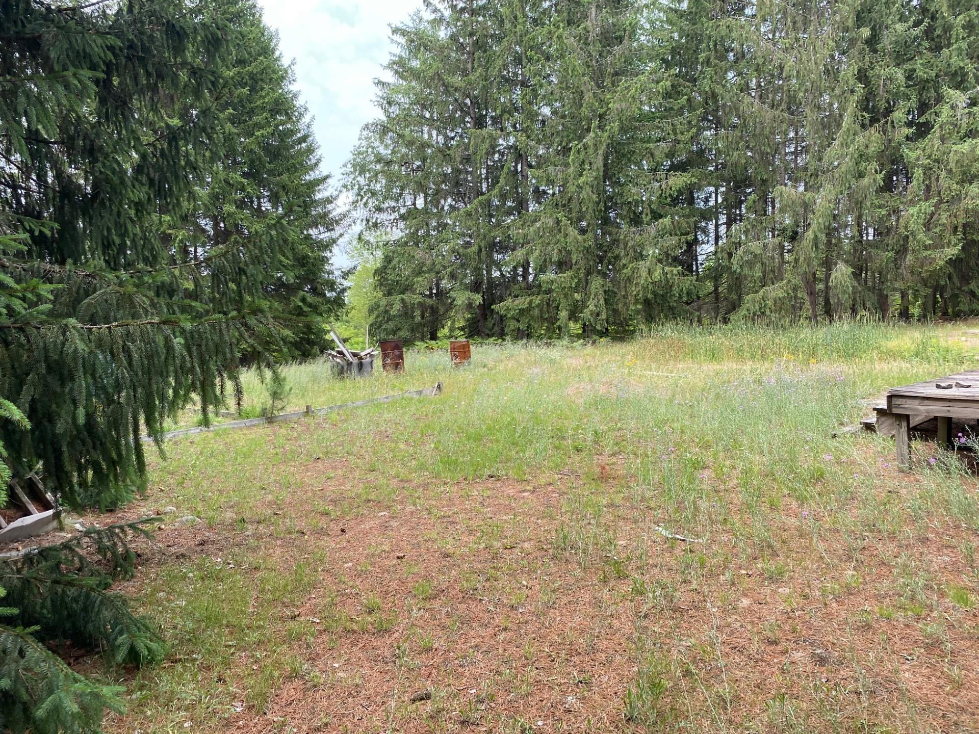 12282 Coster Road Southwest Fife Lake, MI 49633 - Photo 6 of 13