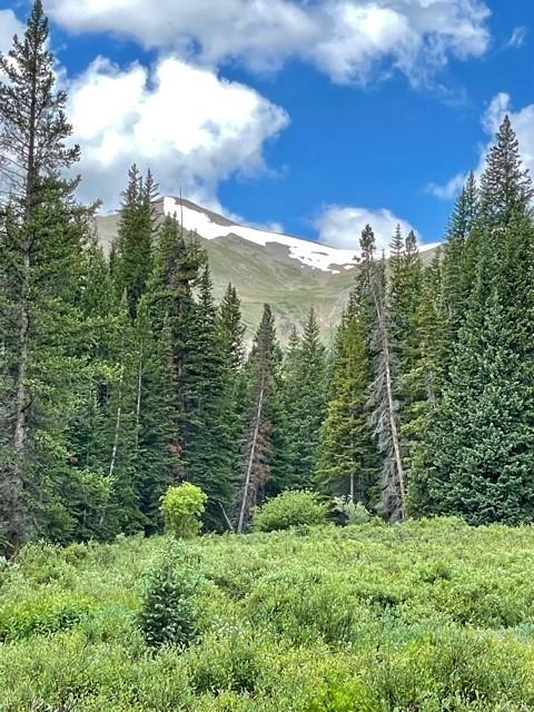 533 Blue Ridge Road Breckenridge, CO 80424 - Photo 33 of 34 Gallery Image 33