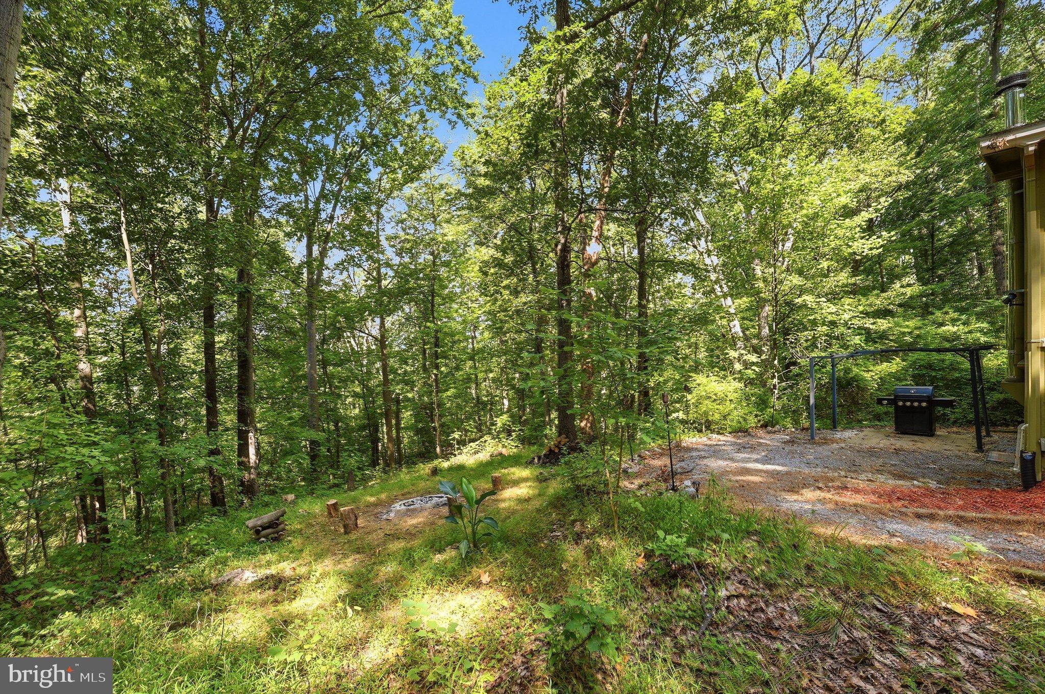 686 Nancy Jack Road Gerrardstown, WV 25420 - Photo 37 of 56 Backyard