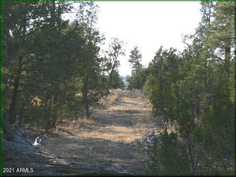 Tbd Elk Road, Unit 29COME4 Heber, AZ 85928 - Photo 2 of 3 mls3