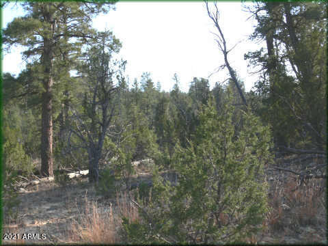 Tbd Elk Road, Unit 29COME4 Heber, AZ 85928 - Photo 3 of 3 mls4