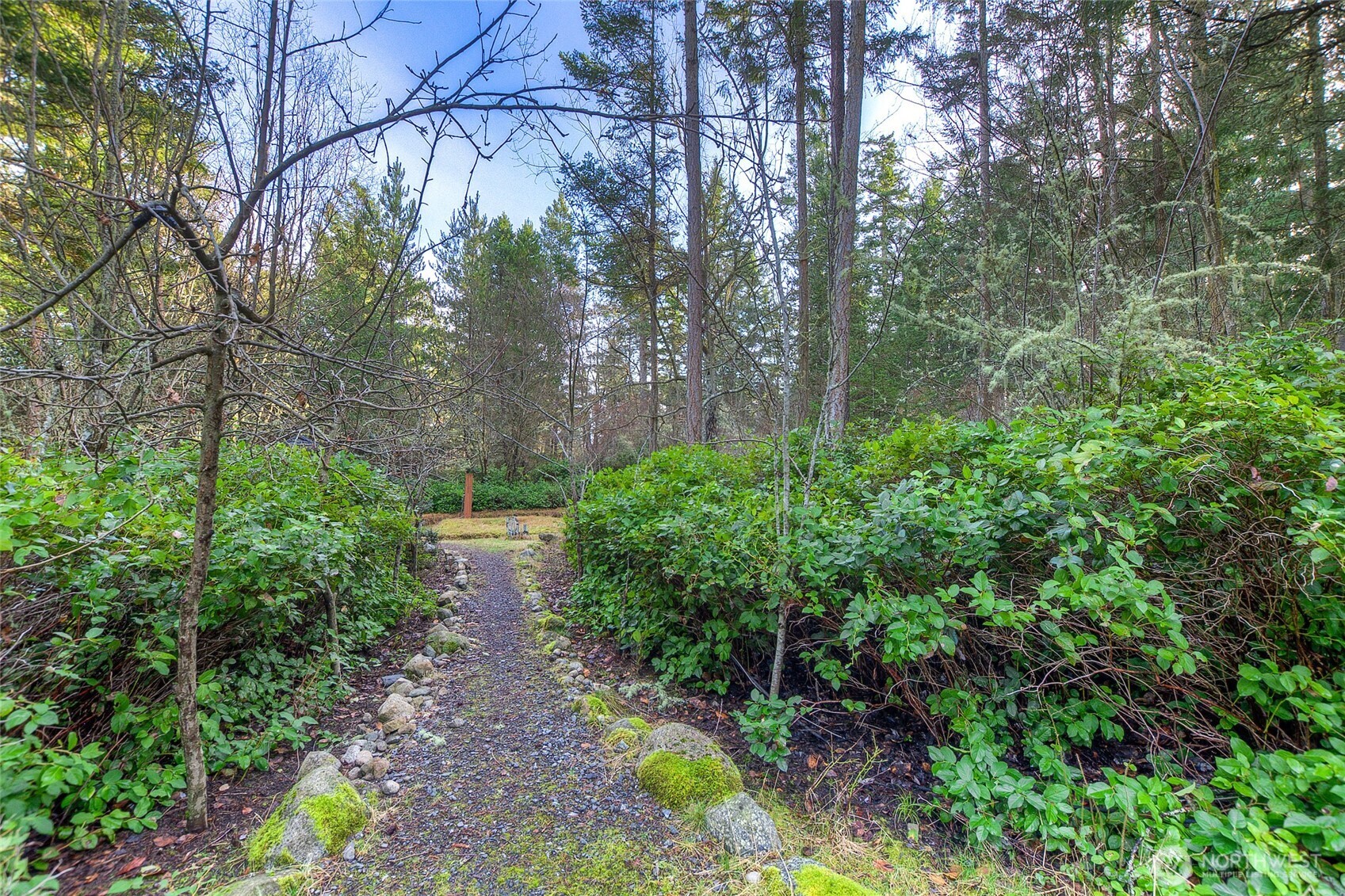 67 Frances Lane Lopez Island, WA 98261 - Photo 17 of 32 a view of a yard with large trees