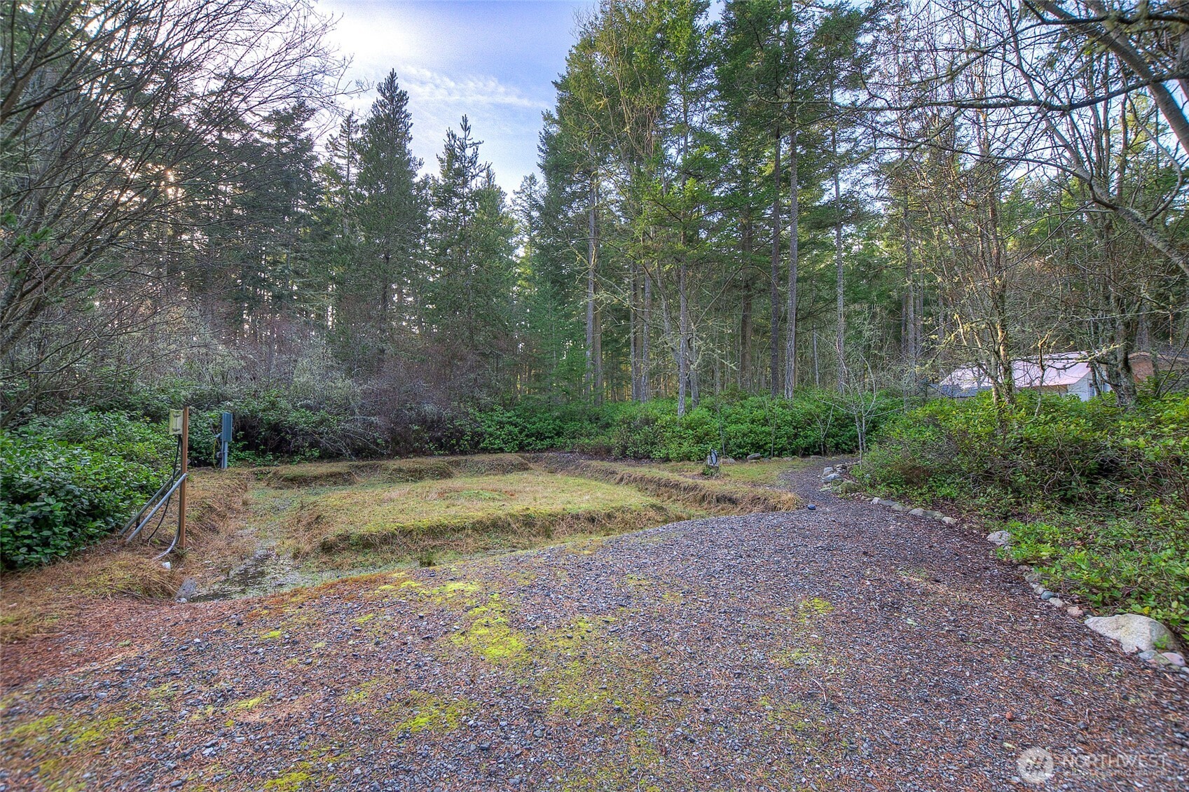 67 Frances Lane Lopez Island, WA 98261 - Photo 18 of 32 a view of a yard with trees