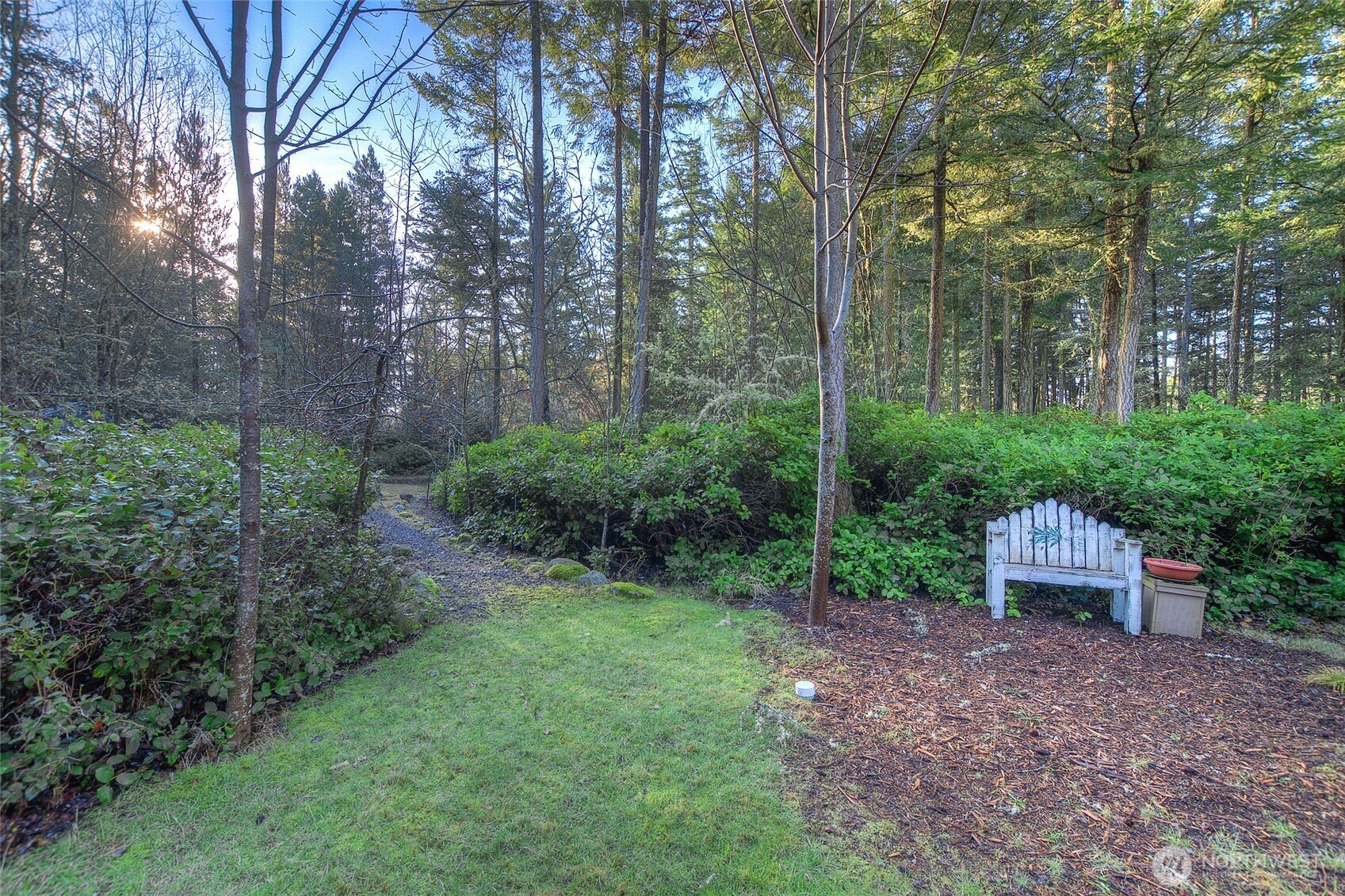 67 Frances Lane Lopez Island, WA 98261 - Photo 21 of 32 a view of a garden with large trees