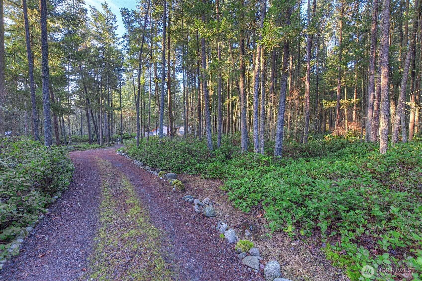 67 Frances Lane Lopez Island, WA 98261 - Photo 27 of 32 a view of a pathway both side of house