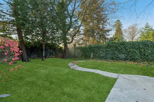 a view of a garden with a tree