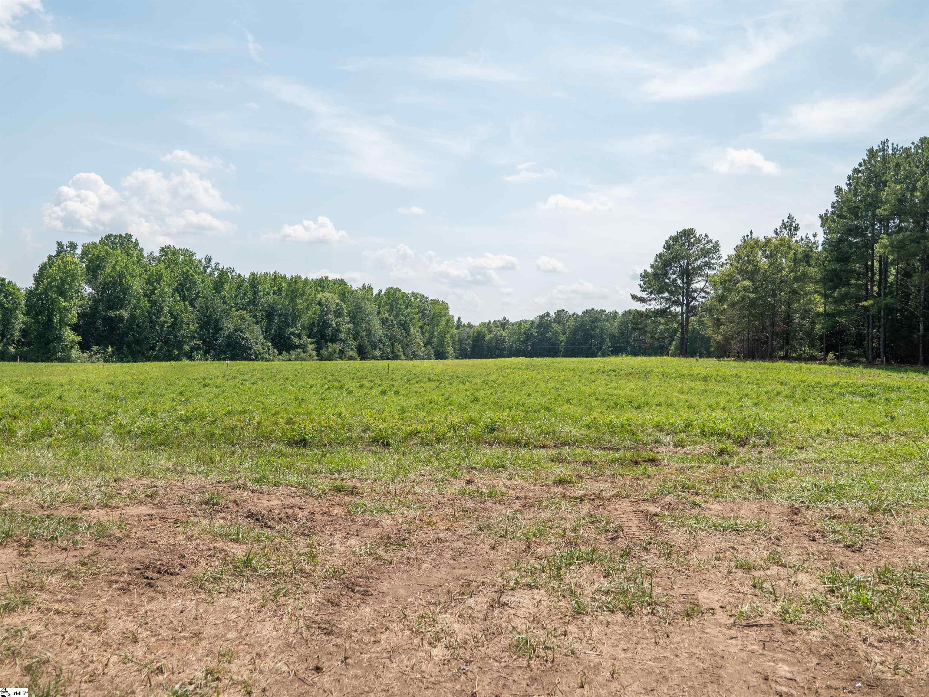 0 Cheek Road, Unit LOT 2 Gray Court, SC 29645 - Photo 17 of 23