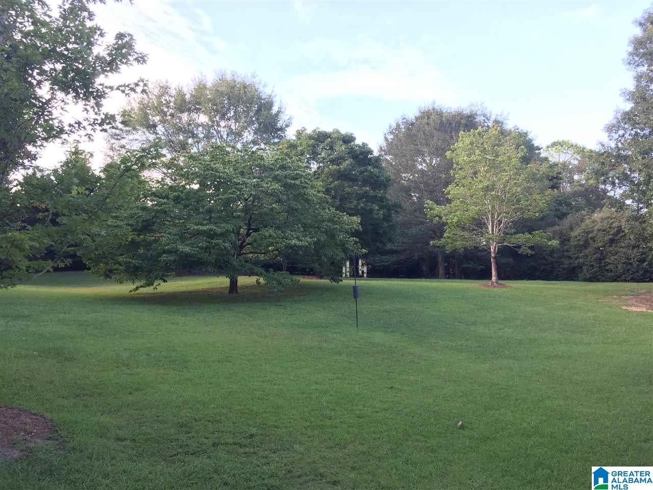 164 Auburn Road Pelham, AL 35124 - Photo 4 of 5