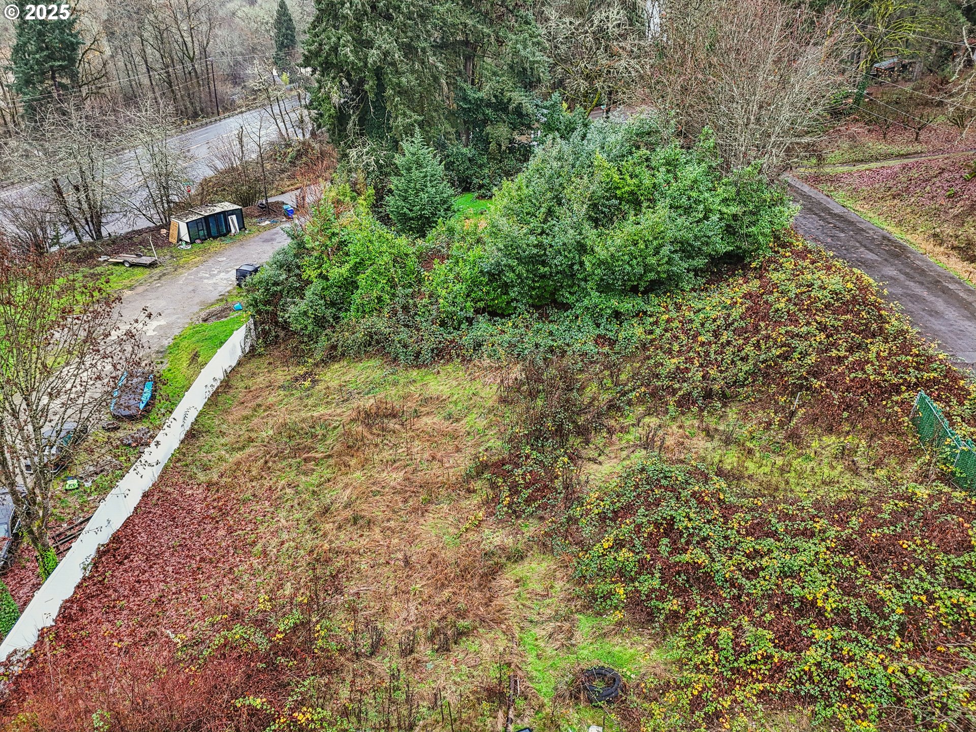 Northwest Wapato Avenue Portland, OR 97231 - Photo 3 of 10 a view of a yard with plants and large trees