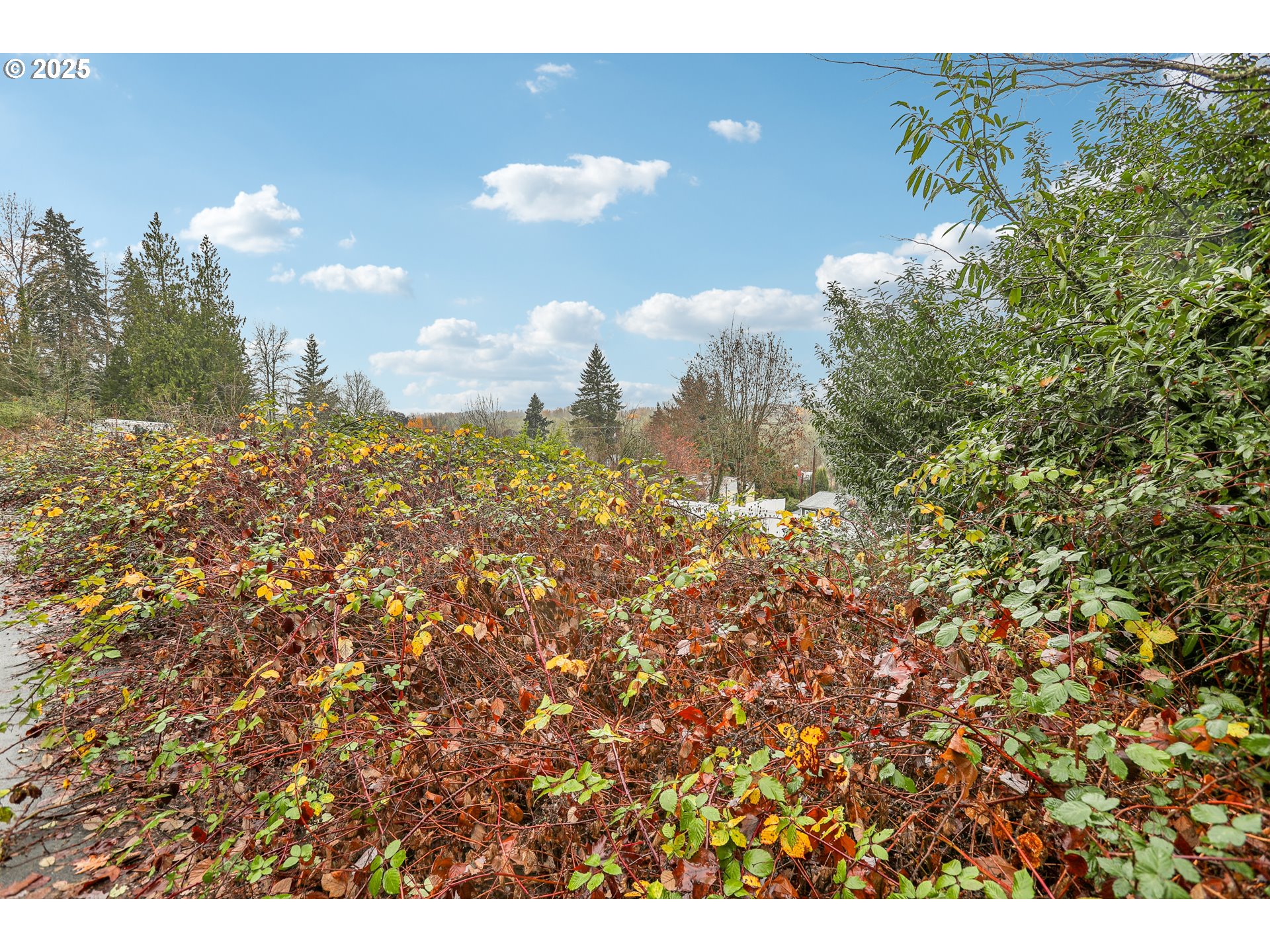 Northwest Wapato Avenue Portland, OR 97231 - Photo 4 of 10