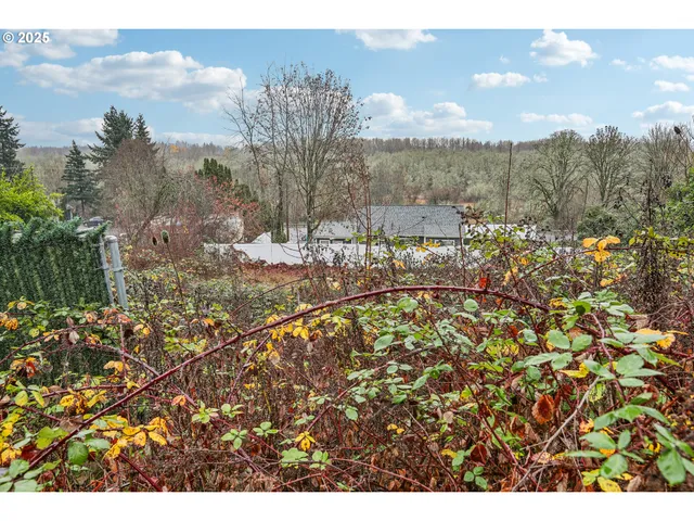 a view of outdoor space and yard