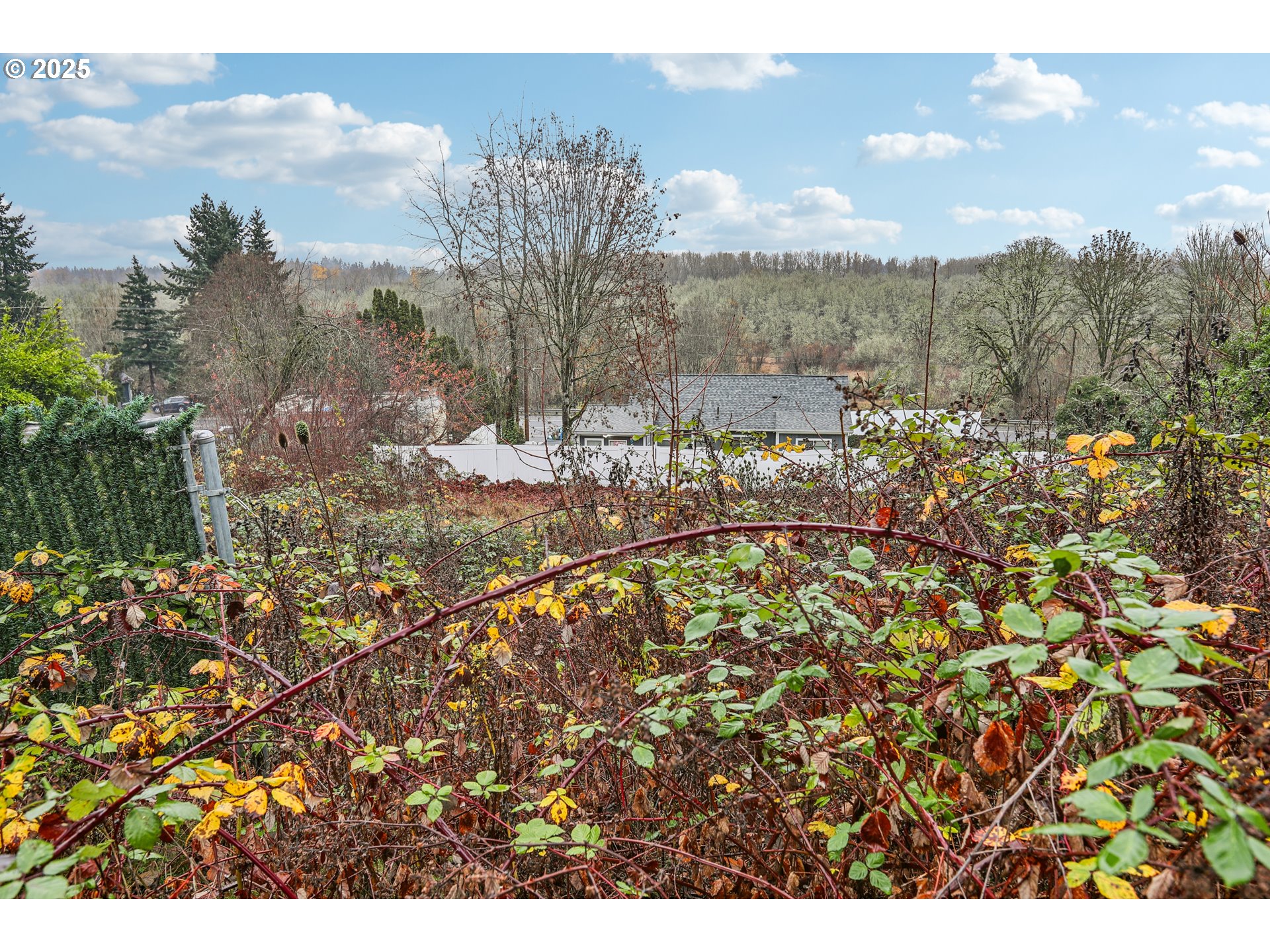 Northwest Wapato Avenue Portland, OR 97231 - Photo 5 of 10 a view of a city