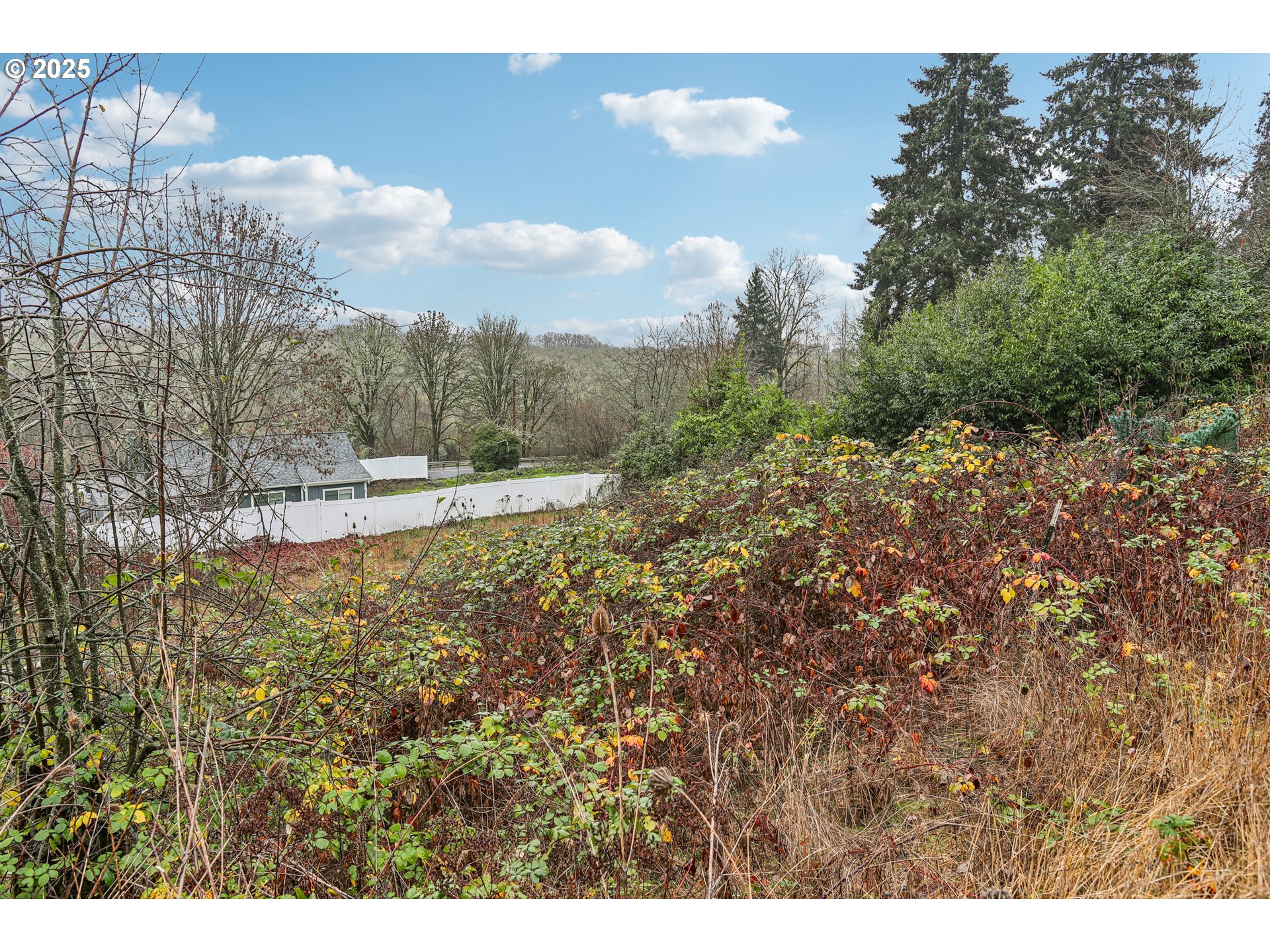 Northwest Wapato Avenue Portland, OR 97231 - Photo 7 of 10 a view of outdoor space and yard