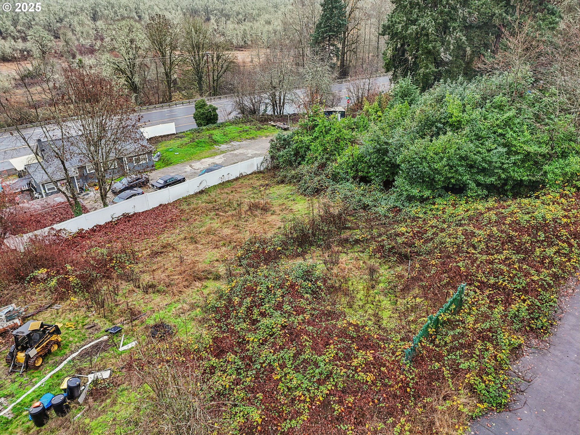 Northwest Wapato Avenue Portland, OR 97231 - Photo 8 of 10 a view of a yard with plants and large trees