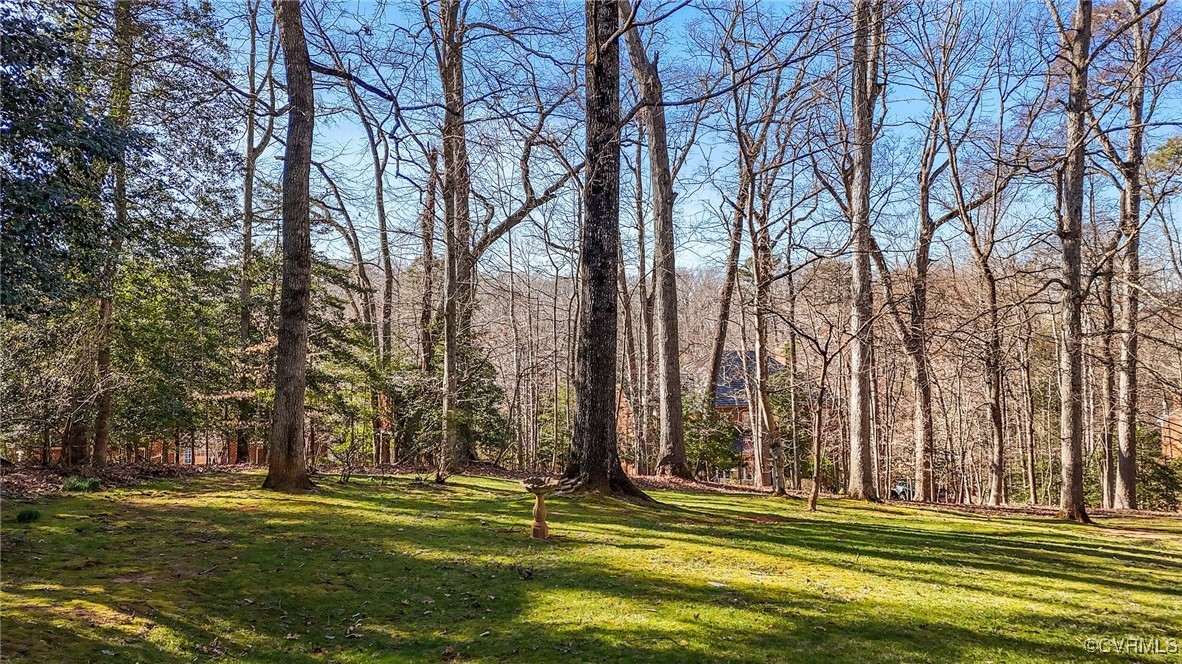 3830 East Old Gun Road Midlothian, VA 23113 - Photo 45 of 48