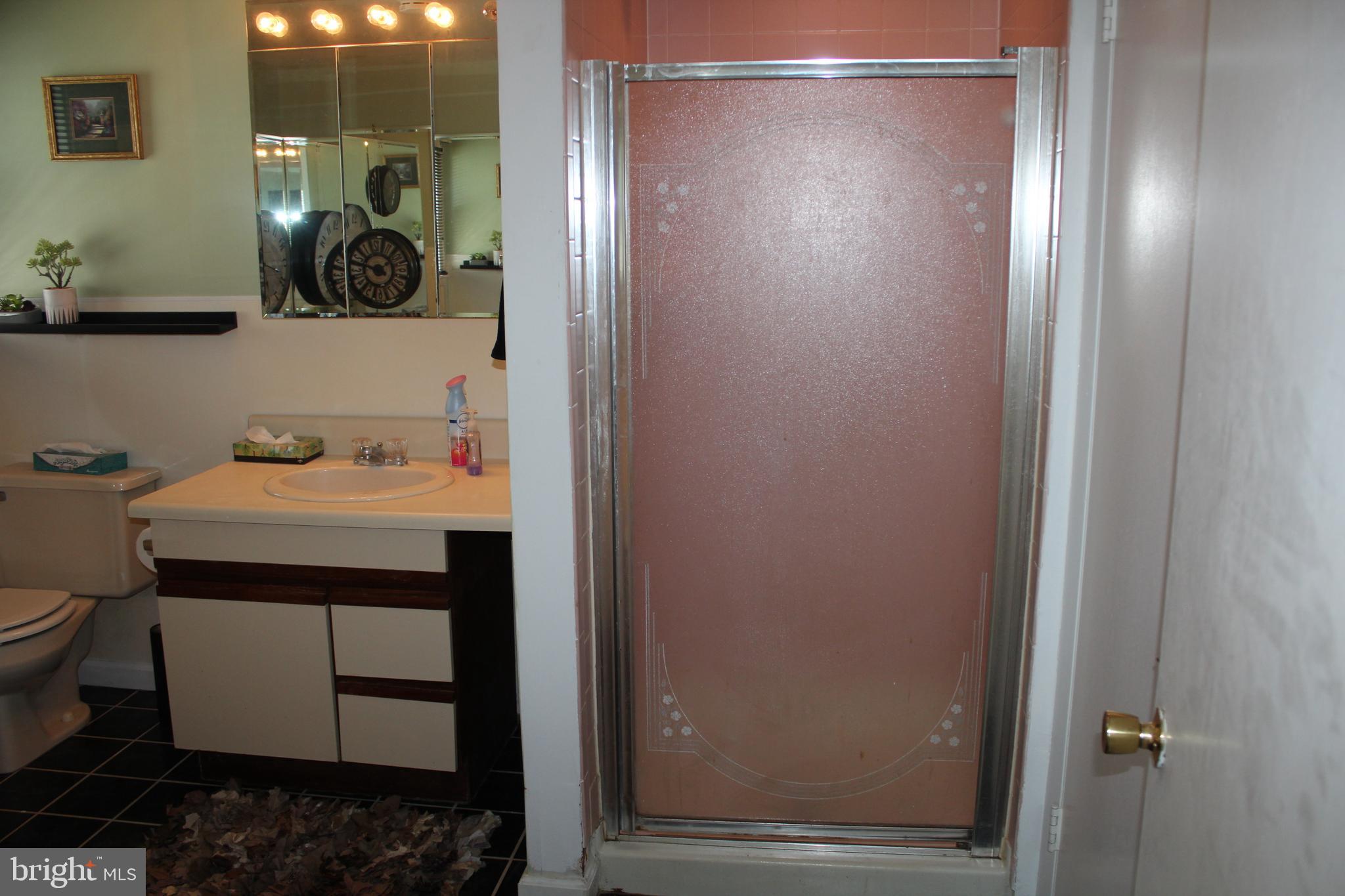 12439 West Torquay Road Ocean City, MD 21842 - Photo 23 of 24 Full bathroom, with large tub and stand-in shower