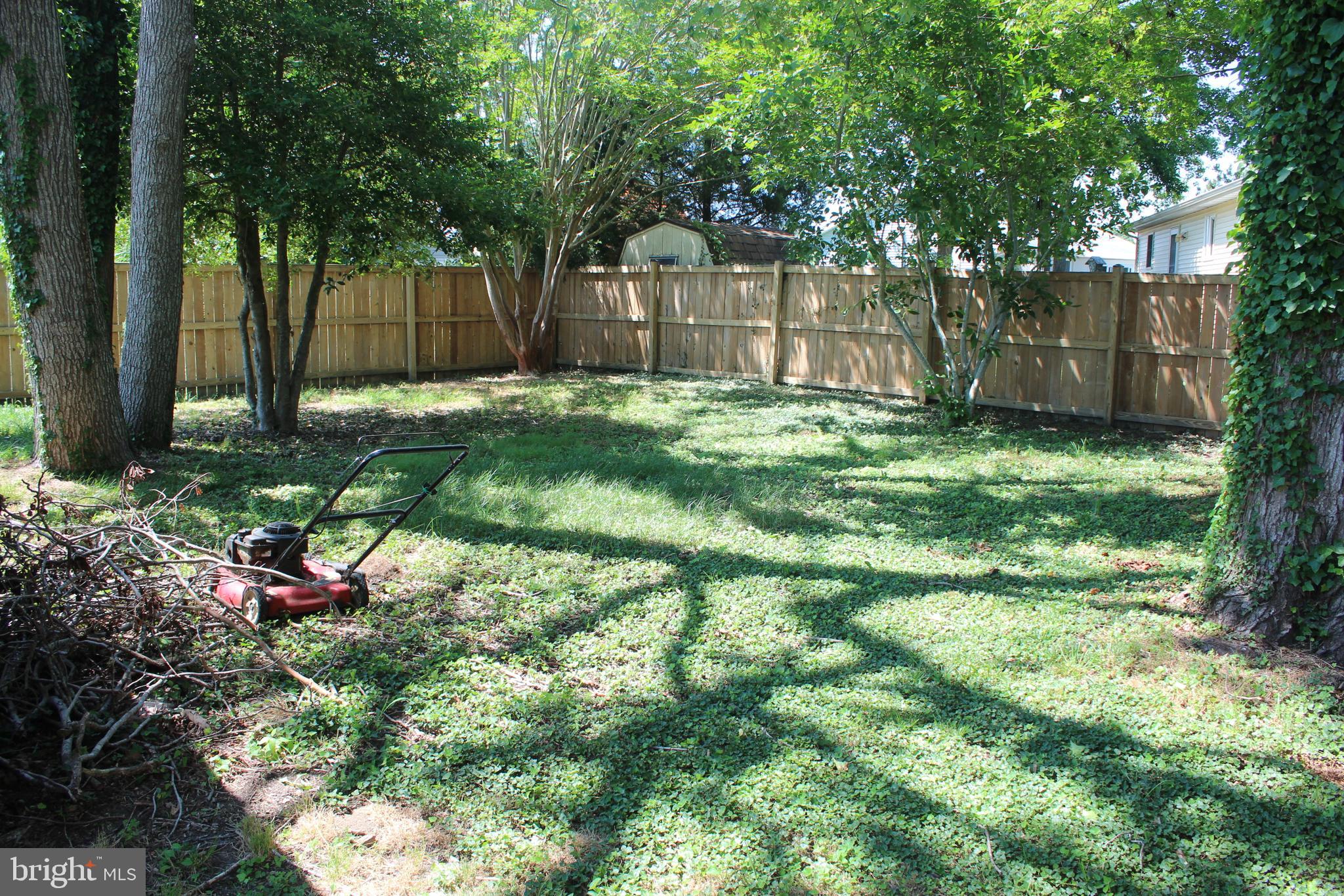 Backyard with ample shade