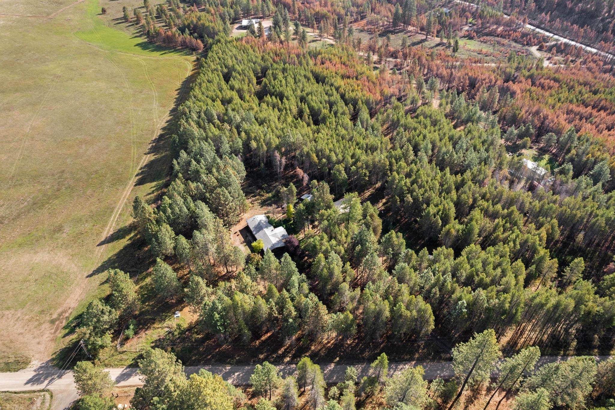 42204 North Darknell Road Elk, WA 99009 - Photo 36 of 41