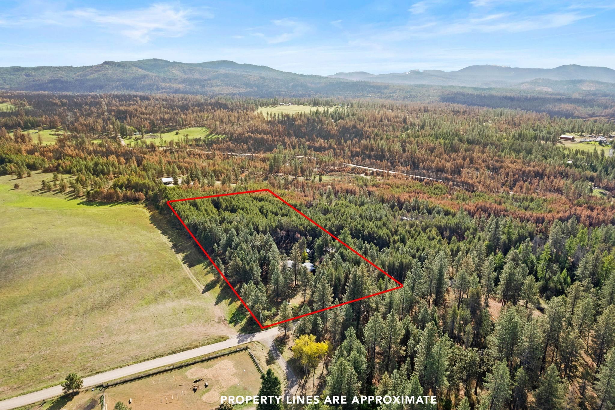 42204 North Darknell Road Elk, WA 99009 - Photo 37 of 41