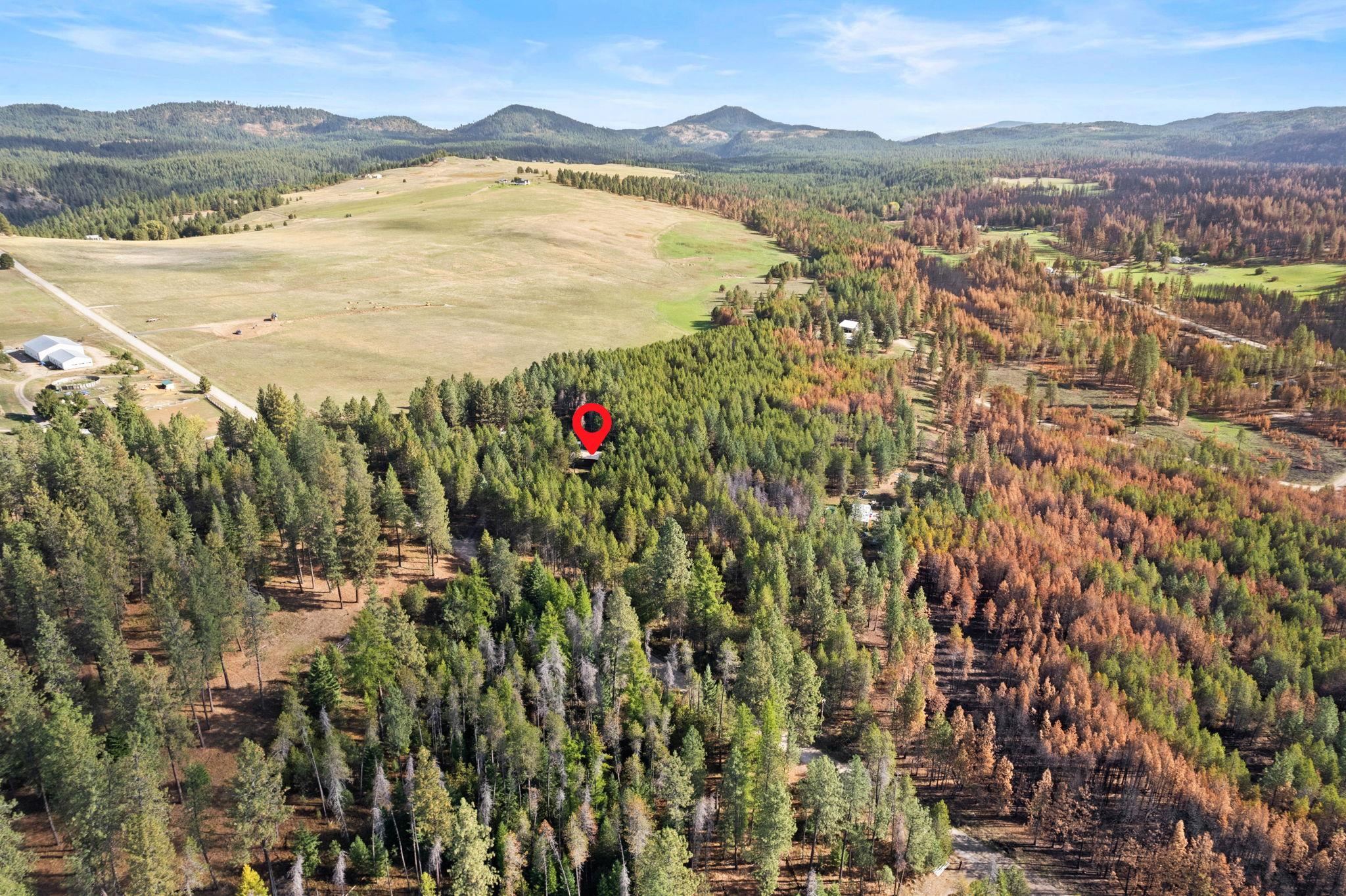 42204 North Darknell Road Elk, WA 99009 - Photo 38 of 41