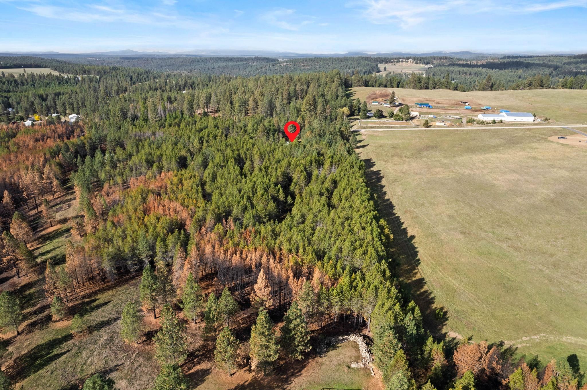 42204 North Darknell Road Elk, WA 99009 - Photo 39 of 41