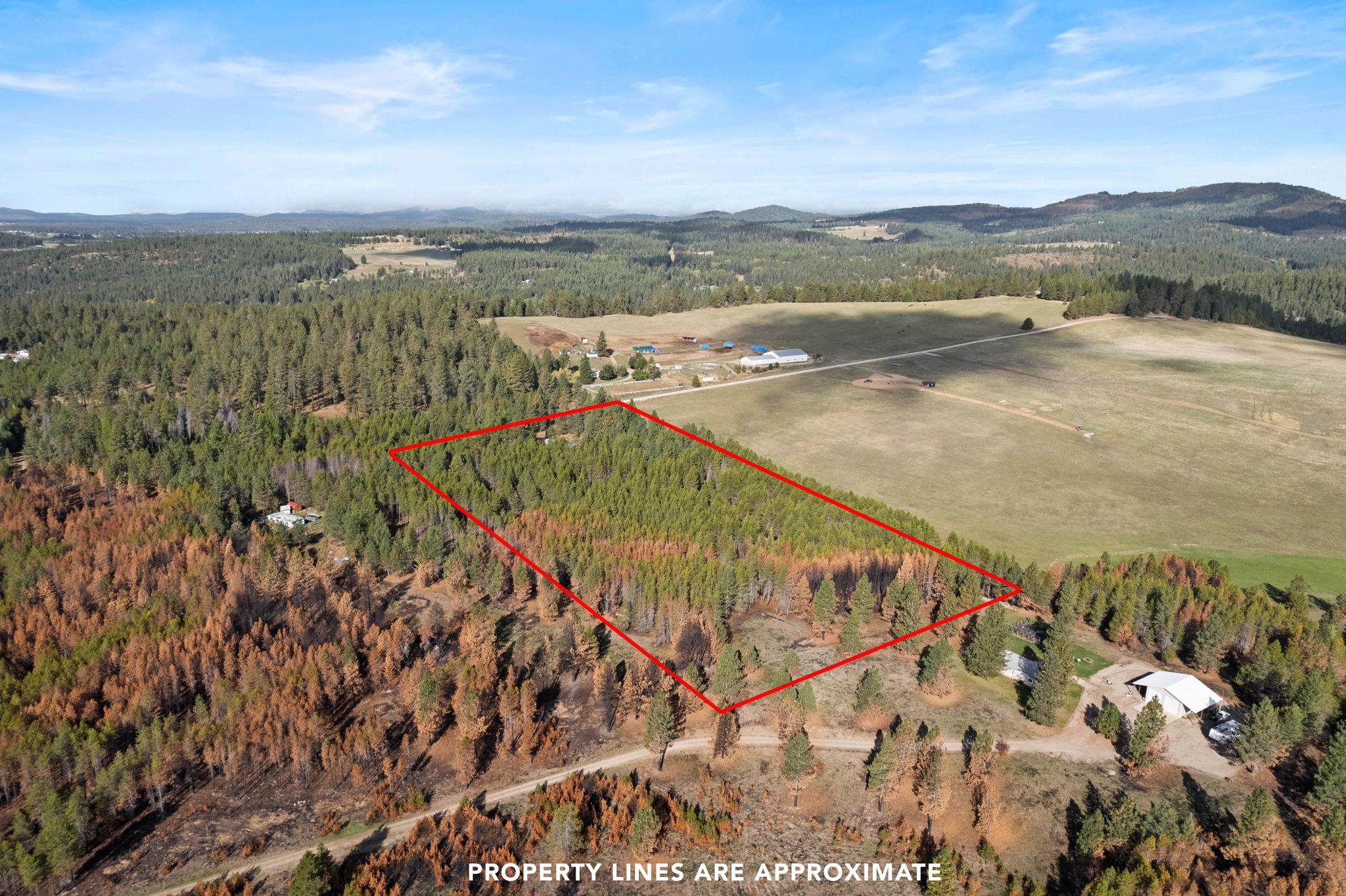 42204 North Darknell Road Elk, WA 99009 - Photo 40 of 41