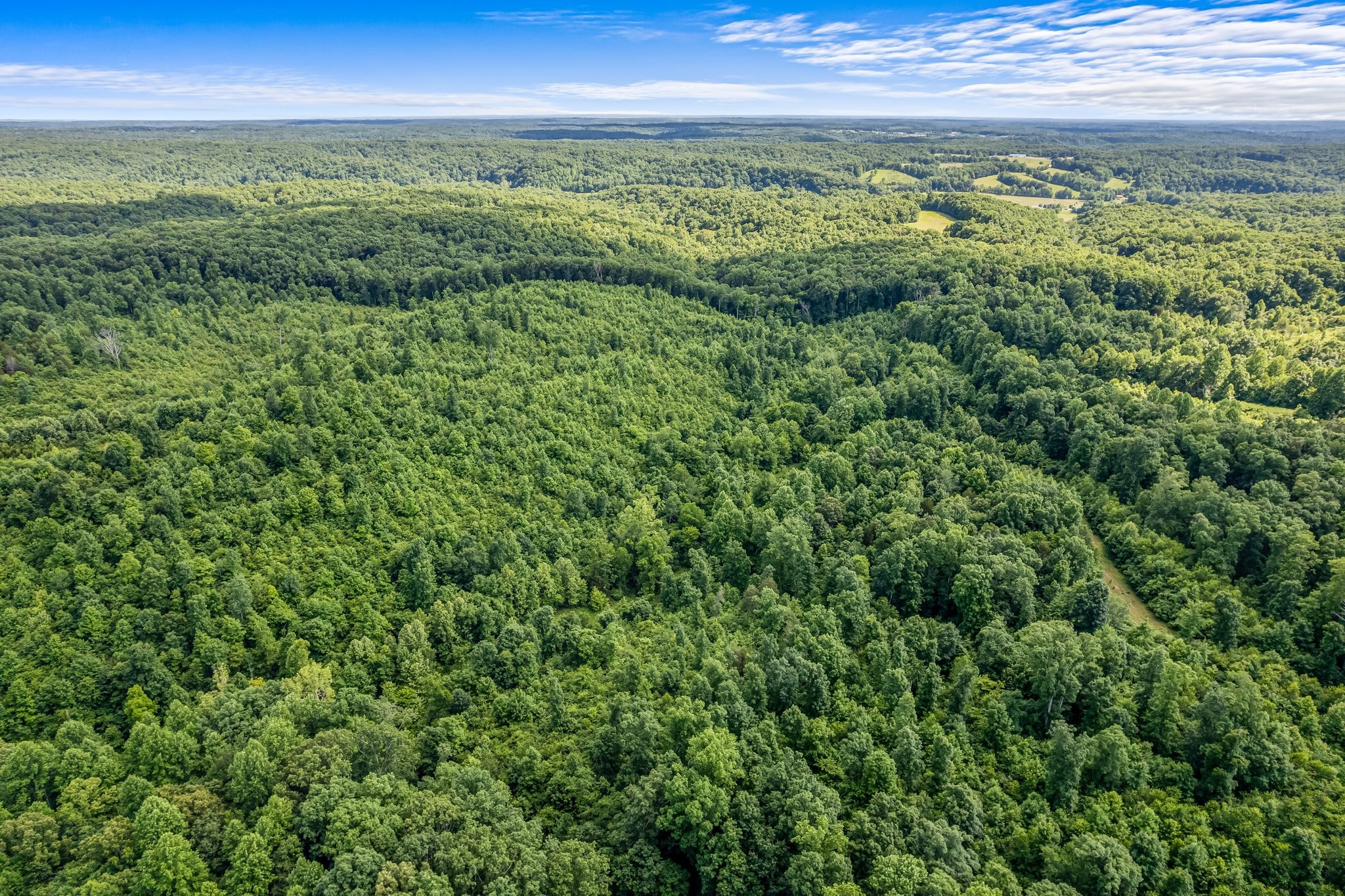 10985 Missionary Ridge Road Bon Aqua, TN 37025 - Photo 10 of 43 a view of an outdoor space with a lake view