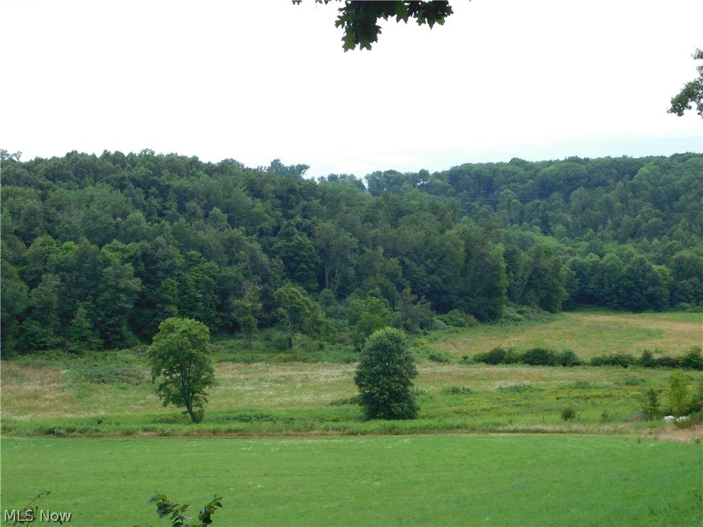 Lorric Road Northwest Minerva, OH 44657 - Photo 29 of 34 Gallery Image 29