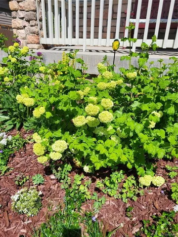 $672,000 | 3812 South Malaya Court, Aurora, CO 80013