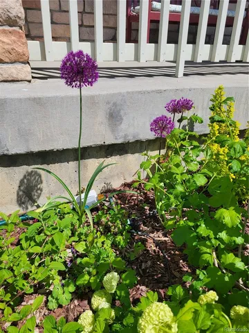 $672,000 | 3812 South Malaya Court, Aurora, CO 80013