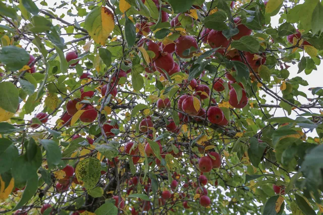 $349,000 | 118 Fling Street, Brewer, ME 04412